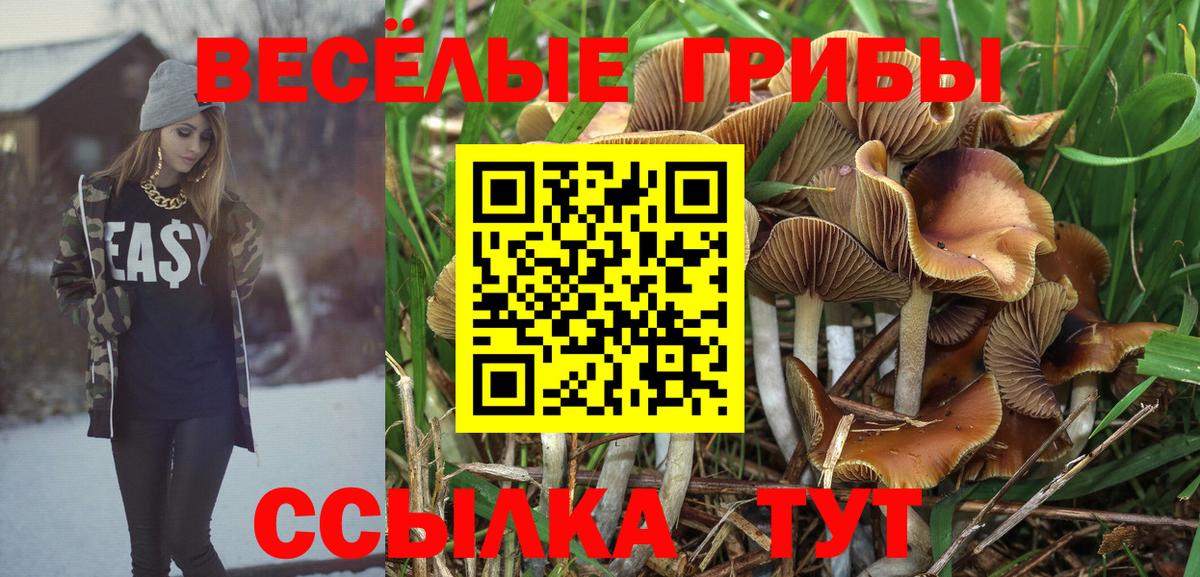Галлюциногенные грибы Cubensis Псков